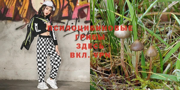 амфетамин Армянск
