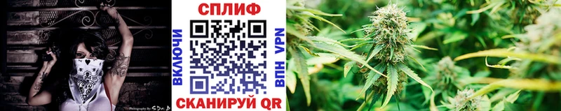 даркнет сайт  Харовск  дарк нет Telegram  Бошки Шишки VHQ 